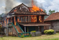 Satu Rumah Panggung Terbakar Karena....