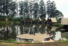 Dusun Bambu Lembang: Wisata Ecotourism dengan Konsep Baru yang Wajib Dikunjungi