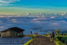 Pesona Lautan Awan di Sukomakmur, Kajoran, Magelang: Surga di Atas Awan