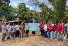 Manfaatkan Lahan Kosong Untuk Bercocok Tanam