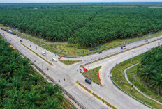 Tol Betung, Akselerator Ekonomi Sumsel: Koneksi Melesat, Investasi Deras, UMKM Tumbuh Pesat!