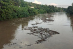 Air Sungai Enim Keruh dan Berbau, Apakah Karena Tercemar Limbah? Simak Indikasinya