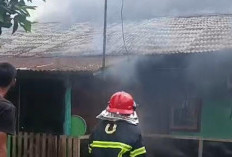 Si Jago Merah Amuk Mess Karyawan, Satu Luka Bakar