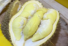 8 Manfaat Makan Durian Untuk Tubuh