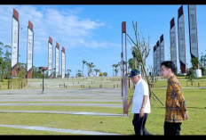 Wapres Tinjau Langsung Pembangunan Tol di IKN, Proyek Segmen 5B Capai 70 Persen