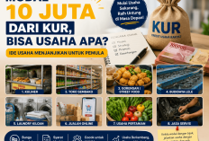 Modal Rp10 Juta dari KUR, Bisa Usaha Apa? Ini 8 Rekomendasi Bisnis Menjanjikan