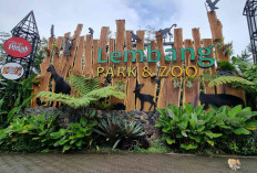 Lembang Park Zoo: Wisata Edukatif dan Rekreasi untuk Keluarga di Bandung Barat