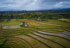 3 Fakta Menarik Semende Raya, Negeri Kopi di Ketinggian Muara Enim