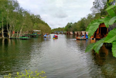 Danau Shuji, Hidden Gem Muara Enim! Wisata Tenang & Instagramable untuk Healing 