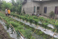 Bhabinkamtibmas Polres Muara Enim: Menggerakkan Ketahanan Pangan dari Desa ke Desa