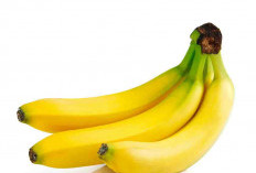 Rutin Makan Pisang? Ini 5 Manfaat Pentingnya bagi Tubuh, dari Jantung hingga Pencernaan