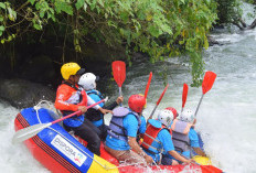 Menaklukkan Derasnya Sungai Selabung: Ketegangan dan Keseruan Arung Jeram di Danau Ranau!