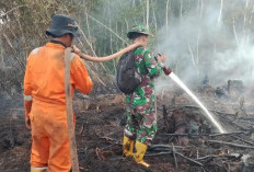 3 Kecamatan di Muara Enim Masuk Zona Waspada Karhutla
