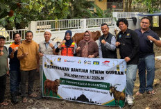 PAMA Salurkan 125 Hewan Kurban untuk Warga Muara Enim dan Lahat
