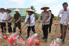 Manfaatkan Lahan Tidur 16,5 Hektare Lahan Agar Lebih Produktif