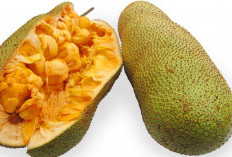 6 Manfaat Kulit Cempedak Untuk Kesehatan