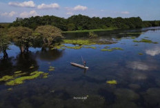 Wisata Alam Menakjubkan di Pinang Banjar: Savana dan Sungai yang Memikat