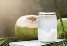 Minum Air Kelapa Sebelum Tidur