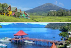 Wisata Alam Pagaralam dan Danau Ranau Belum Tergantikan Destinasi Lain