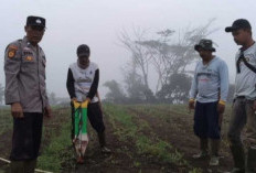 Polsek Semendo Gerakkan Program Lahan Produktif untuk Dukung Ketahanan Pangan