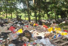 Ratusan Ton Sampah Menggunung, TPA Bukit Kancil Harus Ditutup