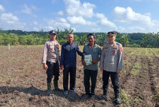 Polsek Gelumbang Tanam Jagung Seluas 1 Hektar