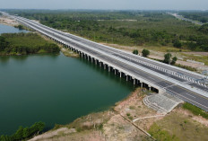 Ekonomi Sumsel Melesat: Jalan Tol sebagai Tulang Punggung Konektivitas