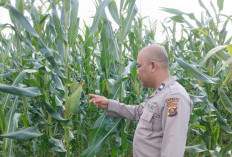 Langkah Kecil Mampu Menopang Ekonomi