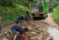 Sopir Truk di Muara Enim Swadaya Perbaiki Jalan Rusak, Warga Semendo: Jangan Hanya Bangun yang Masih Bagus