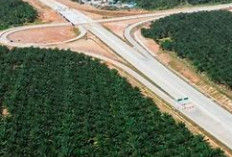 Sumsel Bangkit! 15 Mega Proyek Ini Ubah Bumi Sriwijaya Jadi Jantung Ekonomi Hijau Nasional
