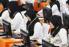 Pendaftaran CPNS 2024 Resmi Dibuka: 250.407 Formasi Tersedia di 547 Instansi