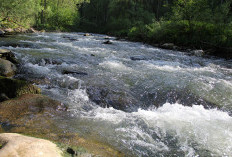 5 Fakta Sungai Beliti yang Sarat Sejarah dan Legenda, Nomor 2 Diyakini Jadi Awal Nama Sungai Musi