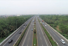136 Km Lagi Rampung! Tol Palembang–Jambi Bikin Ekonomi Jambi Bisa Salip Sumsel