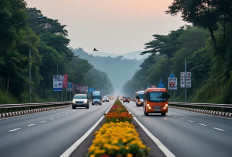 Tol Pengubah Peta Ekomomi Sumsel: Lebih dari Sekedar Lambang Kemajuan Infrastruktur