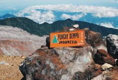 Gunung Dempo: Wisata Sejuk dan Menantang  di Sumsel dengan Keindahan dan Misteri yang Bikin Merinding!