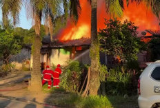 Tanjung Enim Membara, 7 Rumah Hangus Terbakar