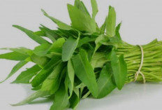 Khasiat Kangkung Yang Harus Orang Ketahui