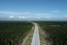  jalan tol kini bukan sekadar proyek fisik, melainkan simbol perubahan arah ekonomi