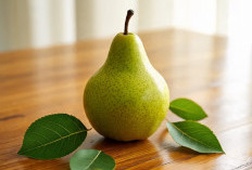 4 Alasan Mengapa Pit Bisa Bantu Meredakan Batuk