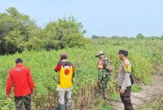 Tim Gabungan Gelar Patroli Terpadu Cegah Karhutla 