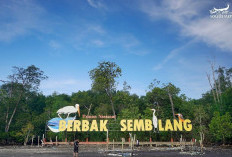 Sejarah dan Transformasi Taman Nasional Berbak-Sembilang: Upaya Konservasi dan Perlindungan Alam di Sumsel