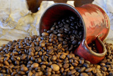 Kopi Sumsel Tak Tertandingi, Petani Daerah Ini Jadi Tulang Punggung Kopi Indonesia