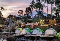 Mau Glamping di Pagaralam? Ini 3 Rekomendasi Tempatnya