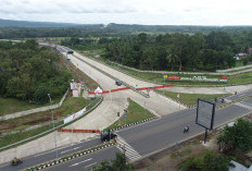 7 Tol + 15 Proyek Strategis: Sumsel Siap Jadi Pusat Ekonomi Baru & Motor Energi Hijau RI