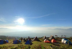 Rahasia Dingin Gunung Dempo: Sejuk dan Memukau yang Bikin Kamu Lupa Pulang!