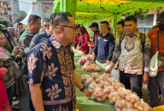 GPM dan OPM Beras Premium Gelaran Pemkab Muara Enim Diserbu