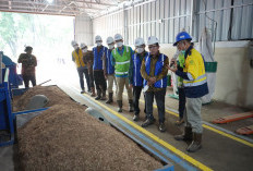 Kembangkan Biomassa dari Kaliandra Merah, Bukit Asam (PTBA) Bangun Pilot Plant Wood Pellet