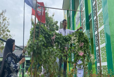 Manfaatkan Lahan Sempit Untuk Bercocok Tanam