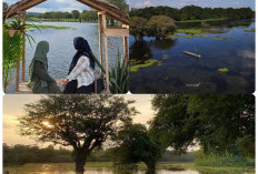 Bukan di Bandung, Tapi di Sumsel.Ini Wisata Padang Savana di Muara Enim Cuma 1,5 Jam dari Palembang