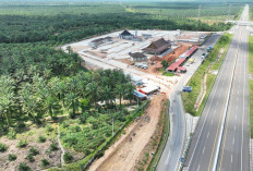 Rest Area Tol Bengkulu–Taba Penanjung Resmi Hadir, Anggrek hingga Rafflesia Jadi Ikon Unik
